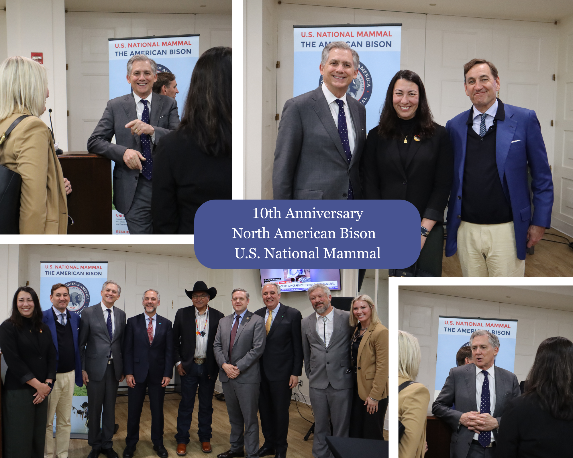 10th Anniversary North American Bison U.S. National Mammal 2026