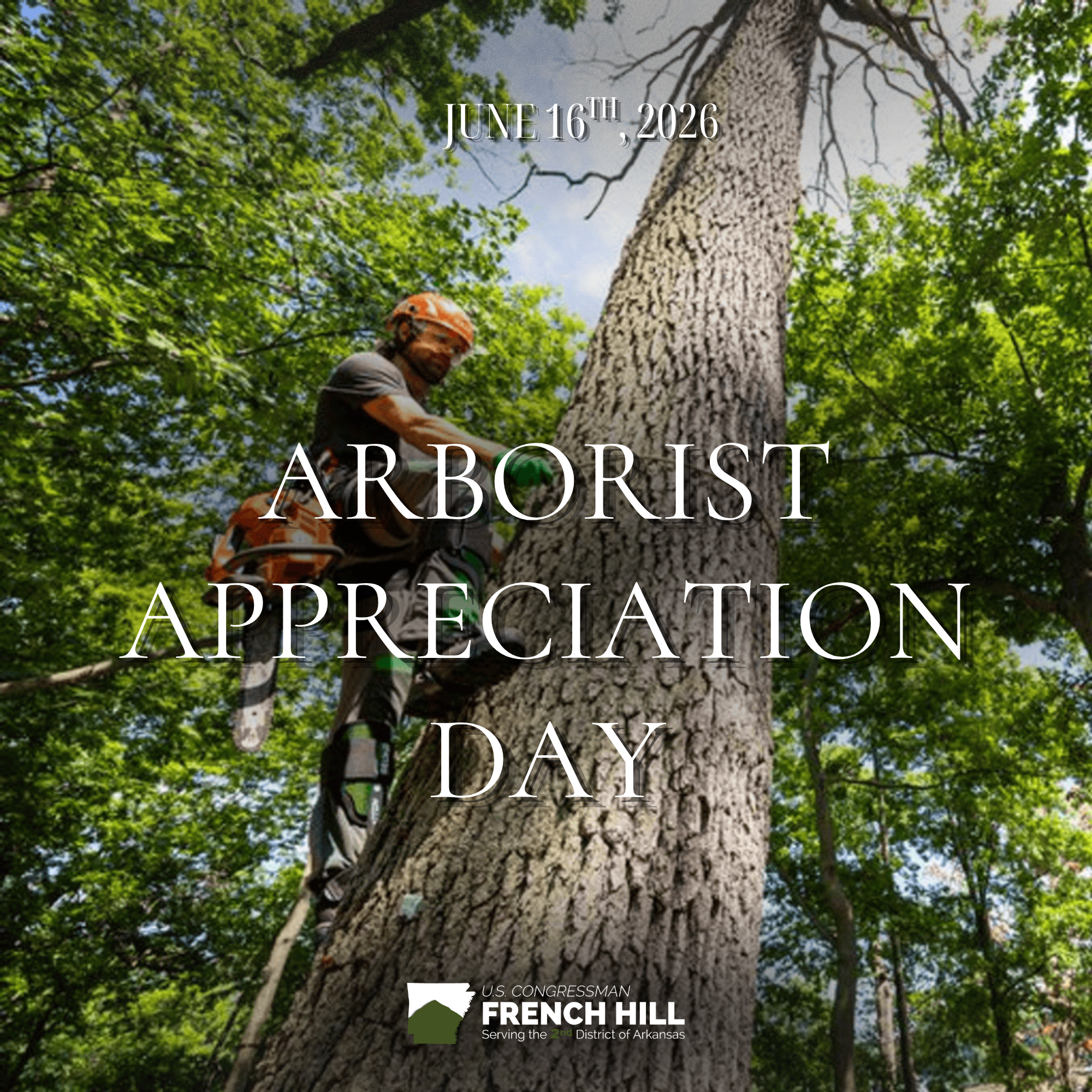 Arborist 2
