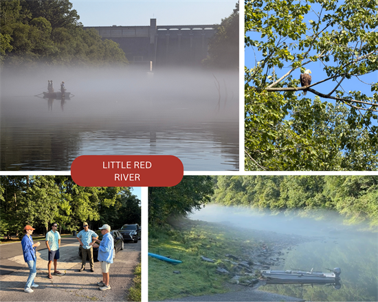 Little Red